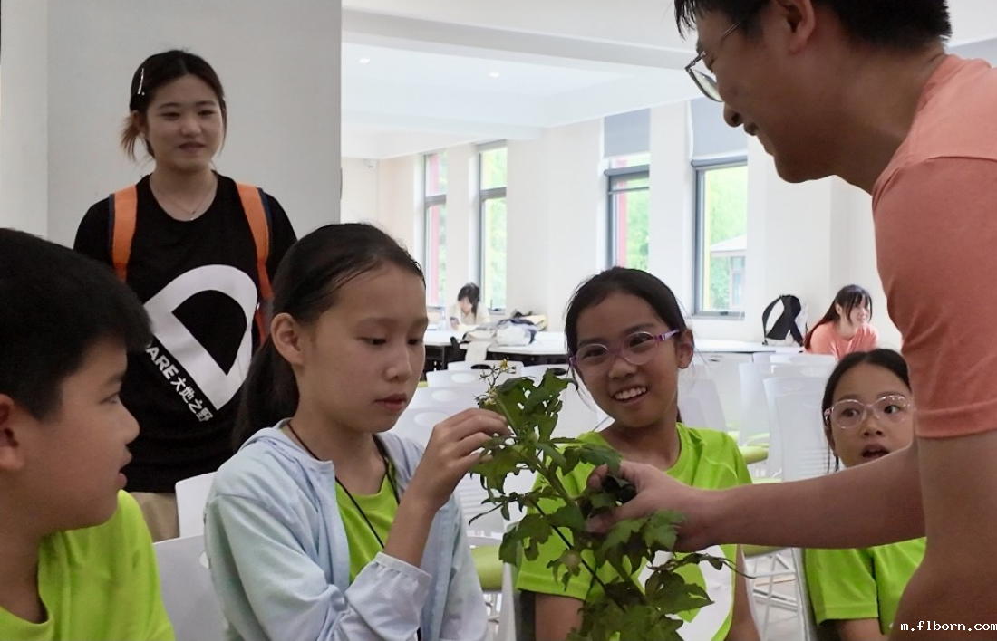 1755251777875386.png 图片4.png