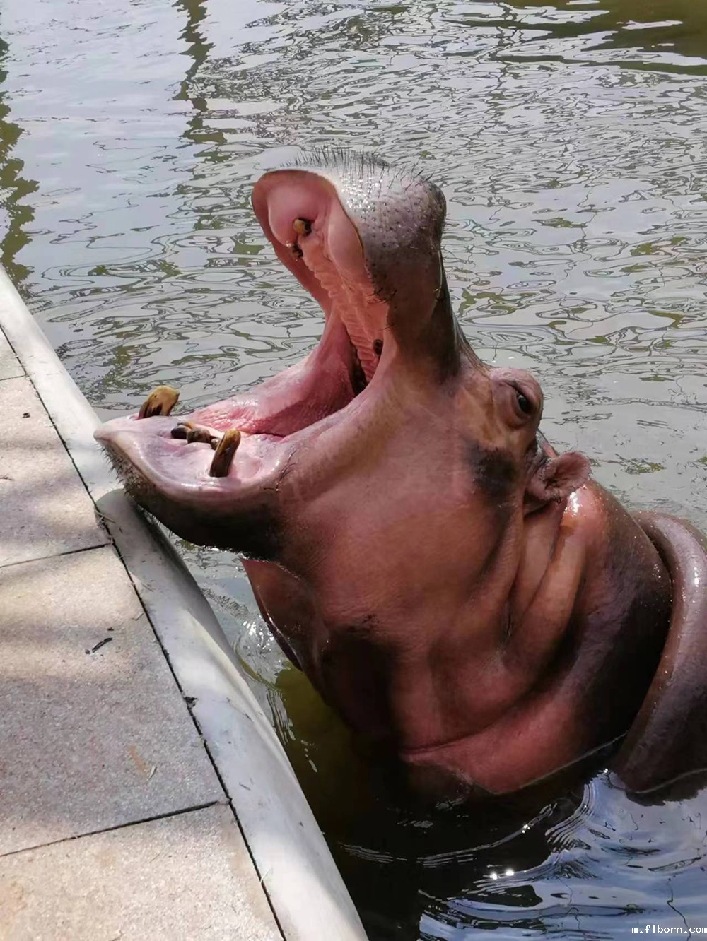 1690986724485582.jpg 2.jpg