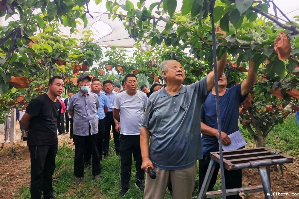 1745977935840503.jpg 1.jpg