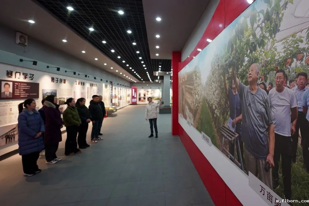 1745977973546079.jpg 2.jpg